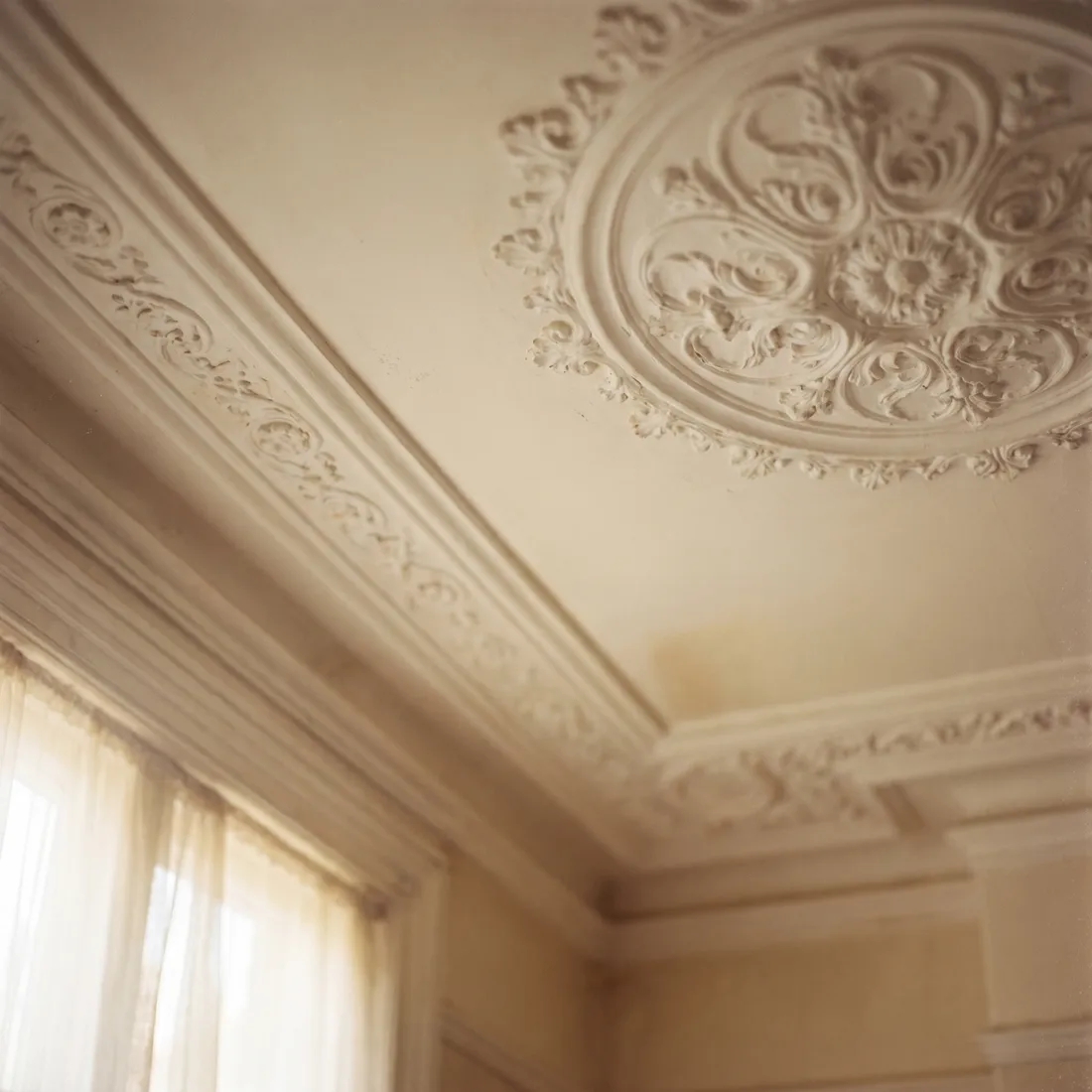 Ornate plaster ceiling cornice and rose